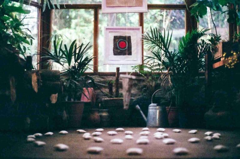 Carpet Cleaning Safety: Key Tips & Common Hazards to Avoid 2 Green Potted Plants Inside A Room
