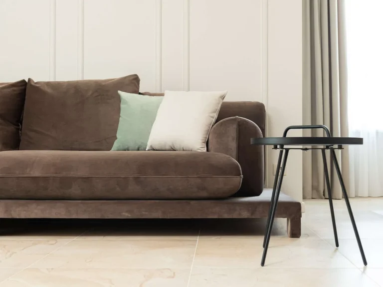 How To Disinfect Carpet After Mice 6 Steam Couch Cleaning