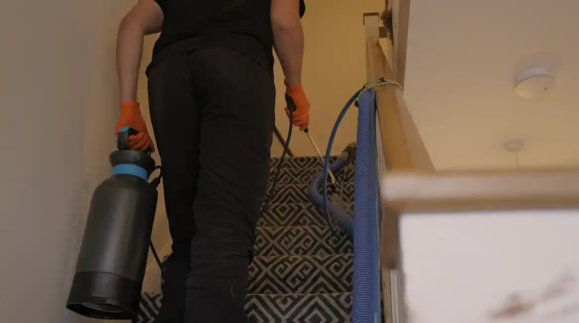 Do I Need to Be Home During Professional Cleaning? Guide 1 rug cleaning