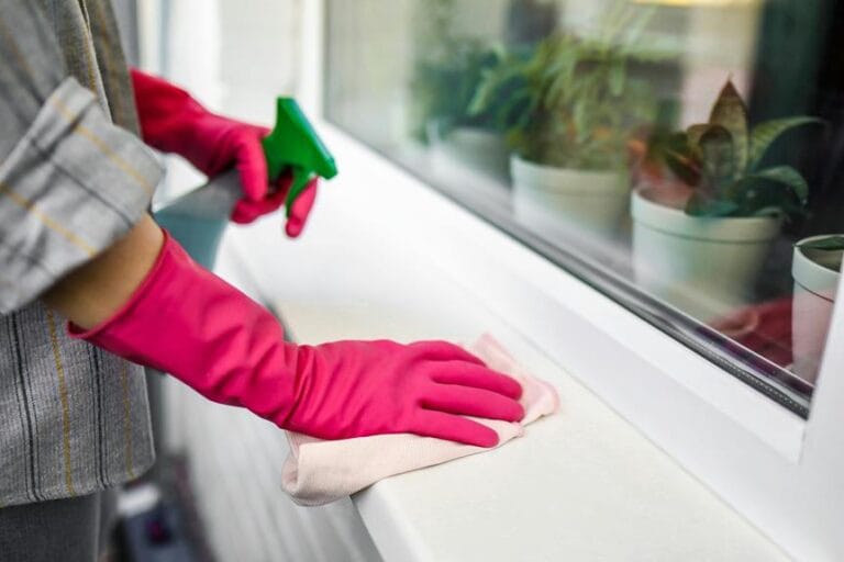 What Do Most Window Cleaning Products Contain? 9 common ingredients in cleaners