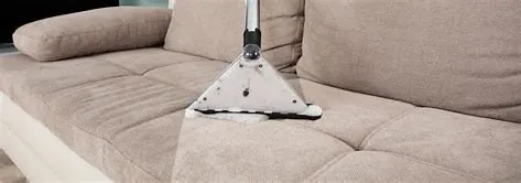 cleaning team staff steam cleaning sofa