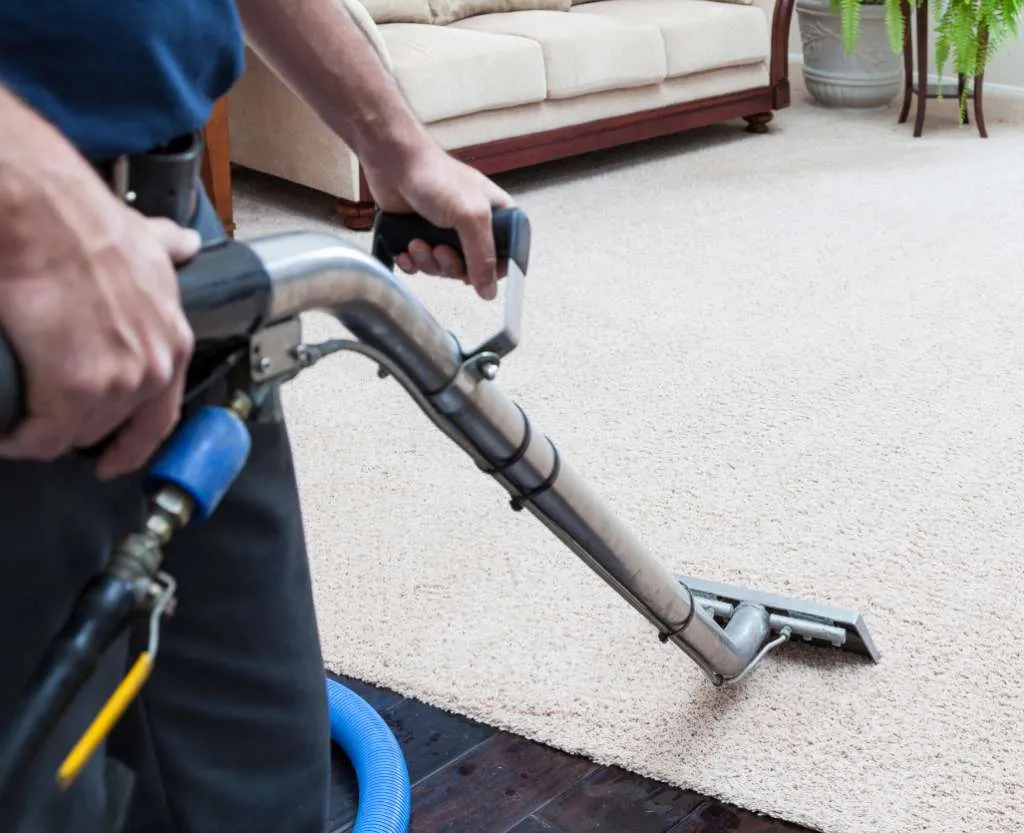 Rug Cleaning 4 a professional cleaner cleaning the living room carpet