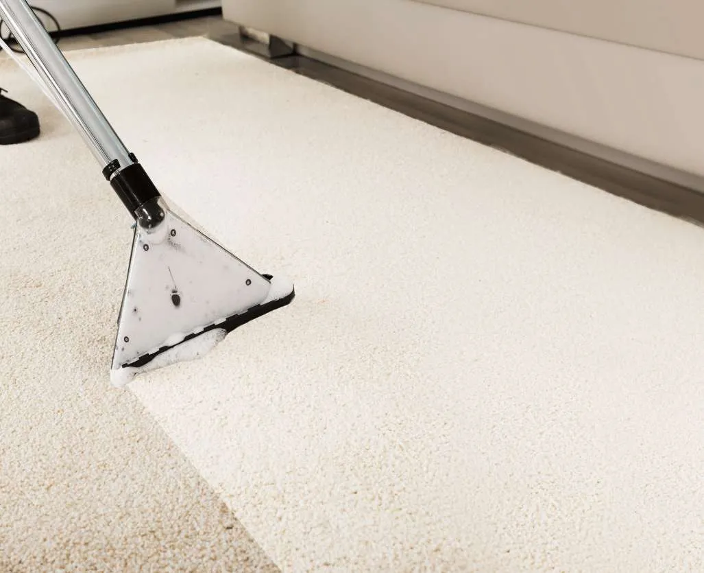 Rug Cleaning 13 carpet cleaning