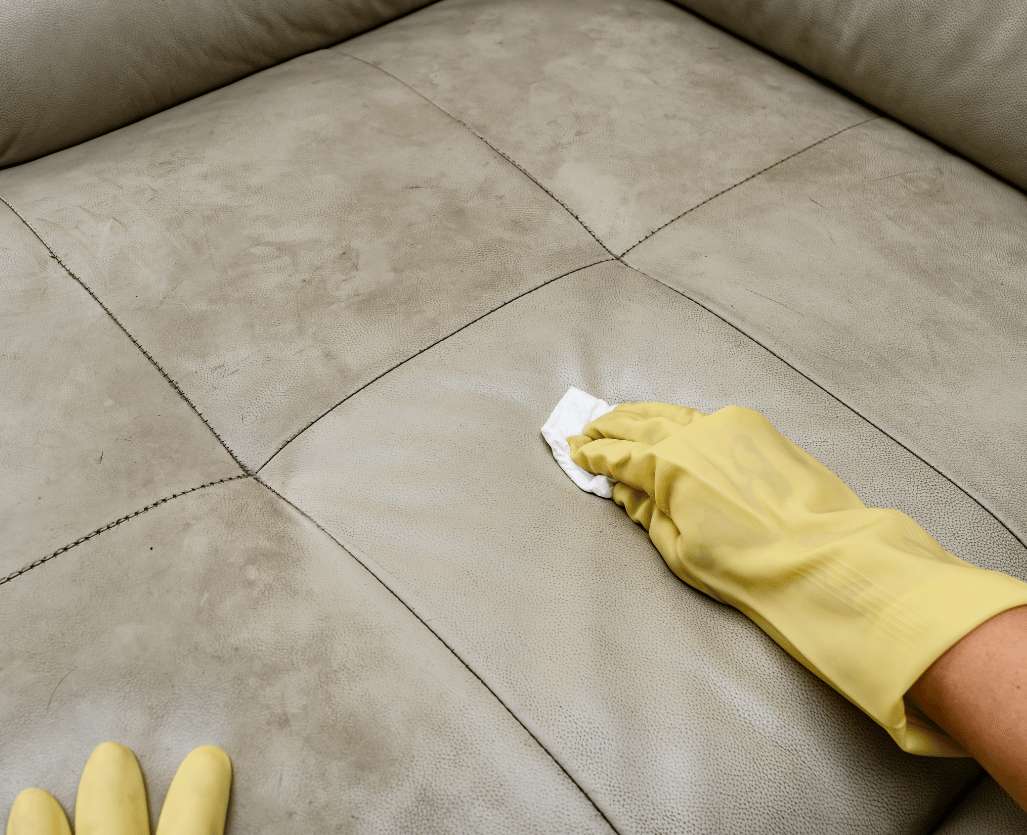 Rug Cleaning 14 gloved hands cleaning sofa
